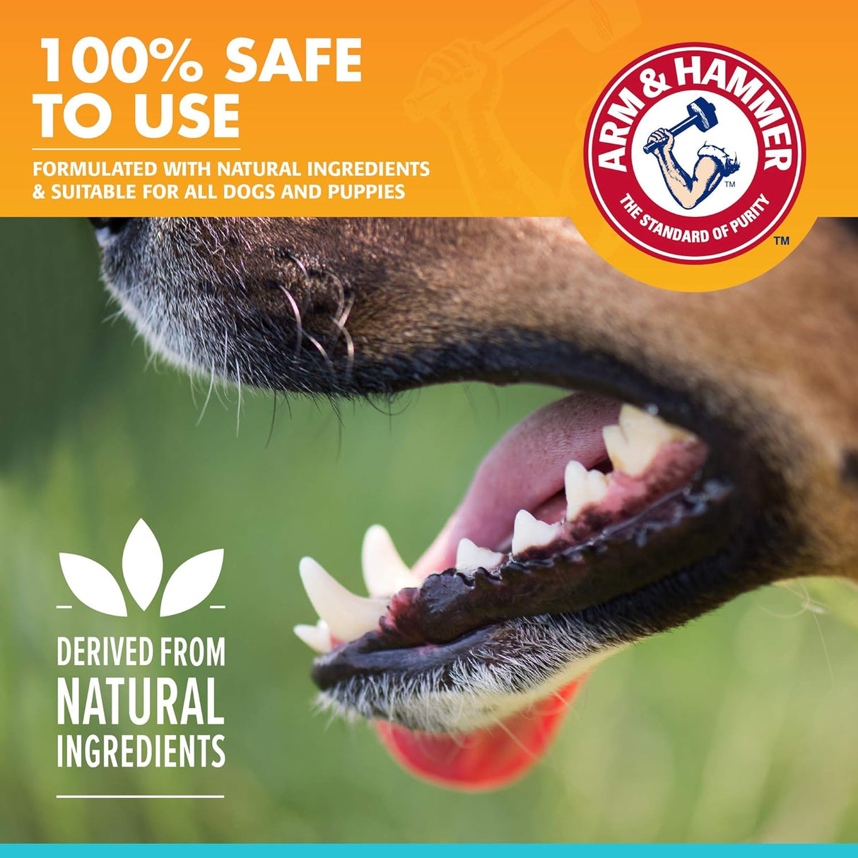 Spray dental de aliento fresco para perros