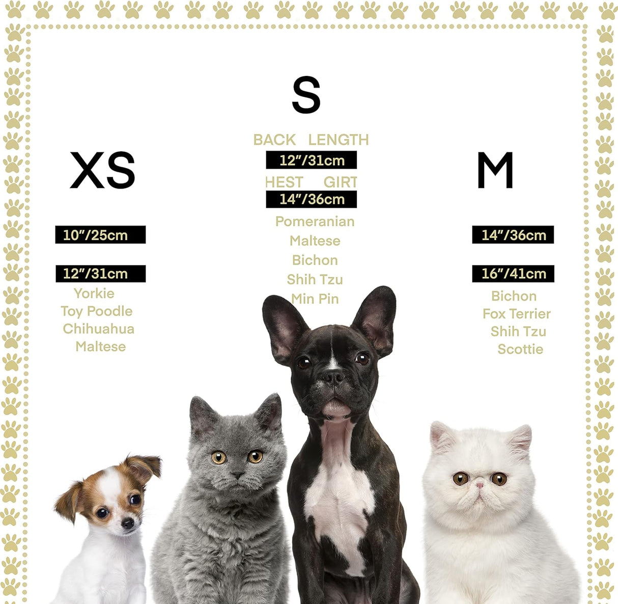 Disfraces colorida para perros y gatos talla M
