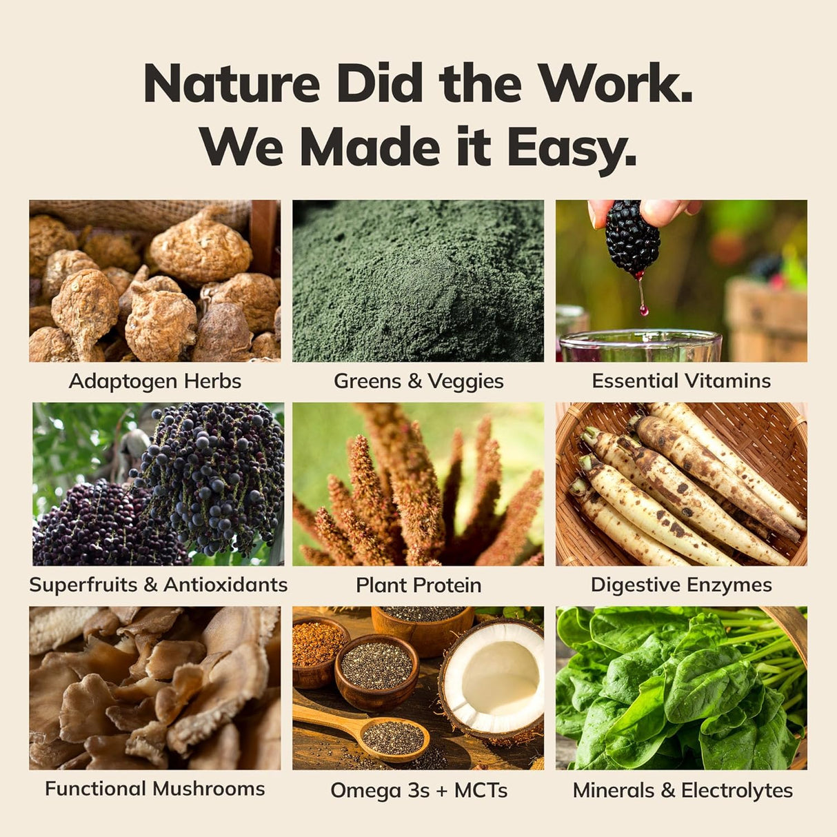 Batido de Proteínas Vegano Ka’Chava 2 lb con Superfoods y Enzimas