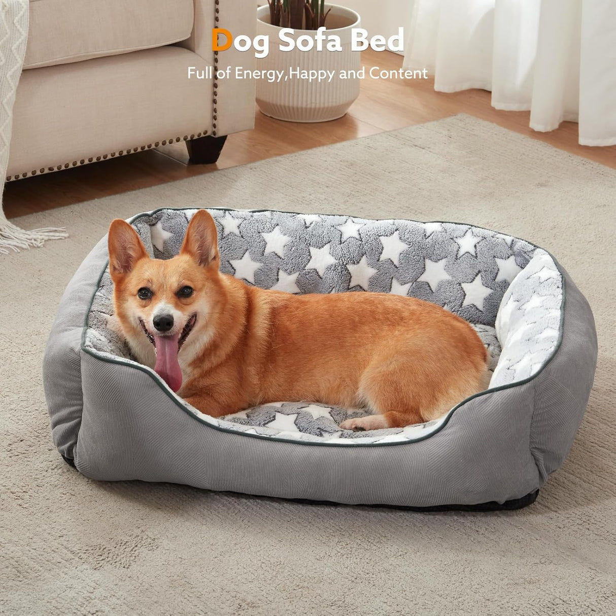 Cama ortopédica para perros grandes SIWA MARY, L (35x25x9)