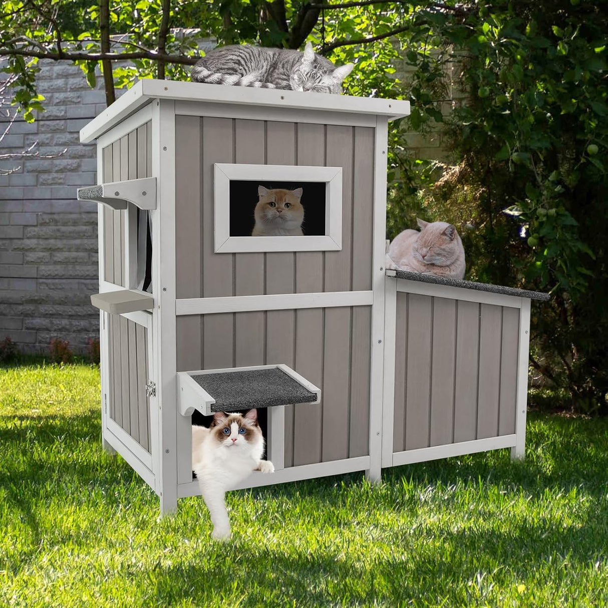 Refugio para Gatos Feral, Casa de Madera, 3 Habitaciones, Modelo 2.
