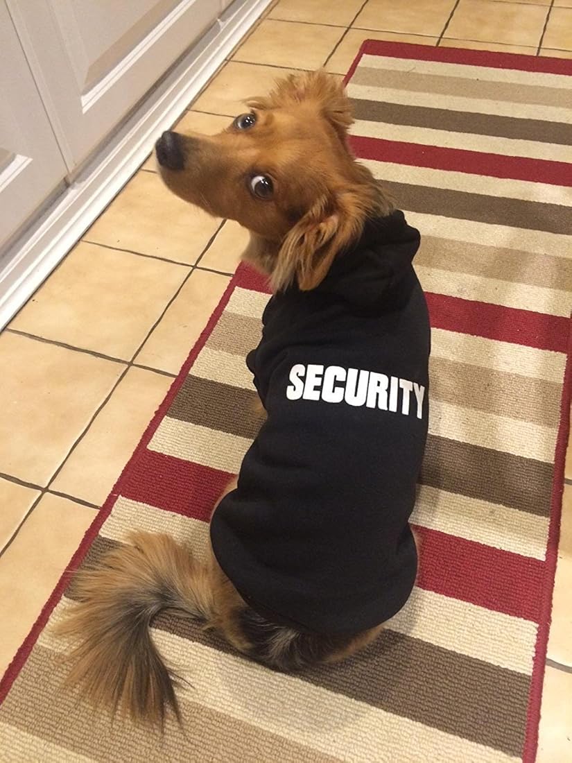 BINGPET Patrones de seguridad Sudadera con capucha estampada