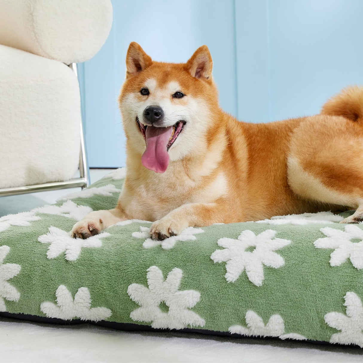 Cama para perros de espuma triturada gruesa felpa mullida