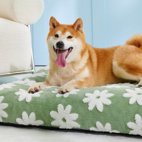 Cama para perros de espuma triturada gruesa felpa mullida