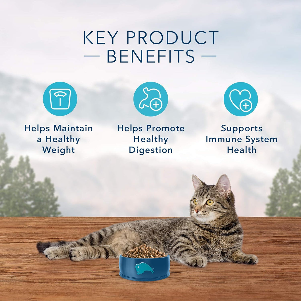 Blue Buffalo Wilderness - Alimento seco natural para gatos adultos con alto contenido de proteínas, control de peso, pollo, 11 libras