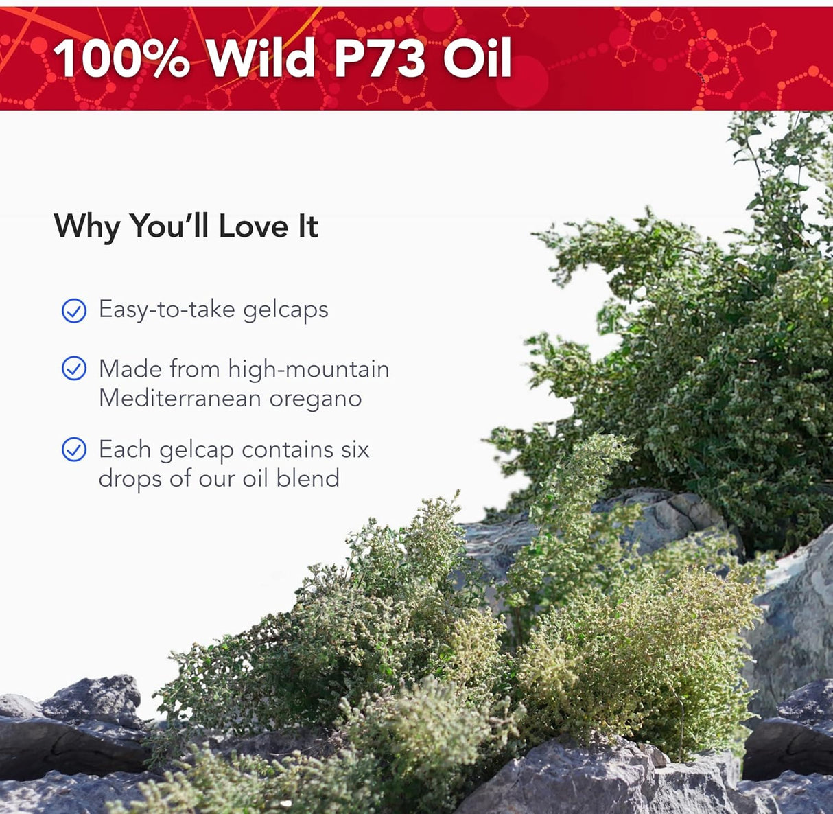 Aceite de Oregano Wild de Physician's Strength - 60 Cápsulas, Sin OGM