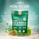 KIKI Polvo de Musgo de Irlanda Verde 8 oz – Apoyo inmunológico