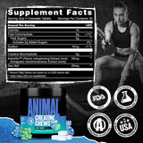 Animal Creatine Chews – Creatina Monohidrato con AstraGin y Sal, Max Absorción