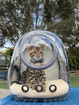 Mochila transportadora para gatitos impermeable