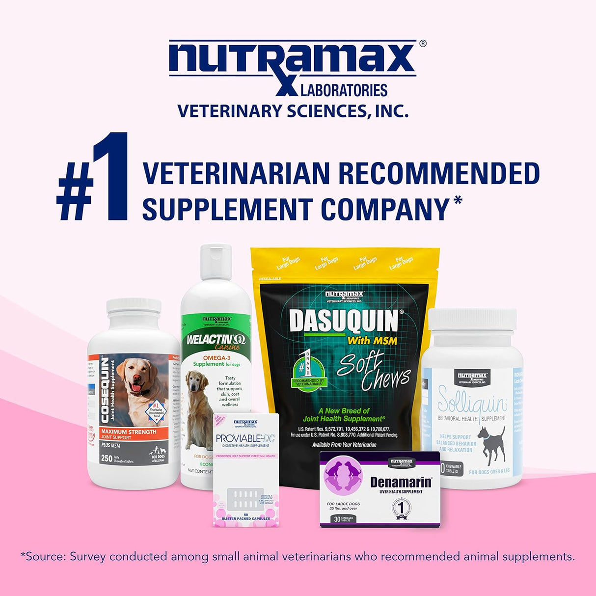 Suplemento de salud digestiva multicepa probióticos