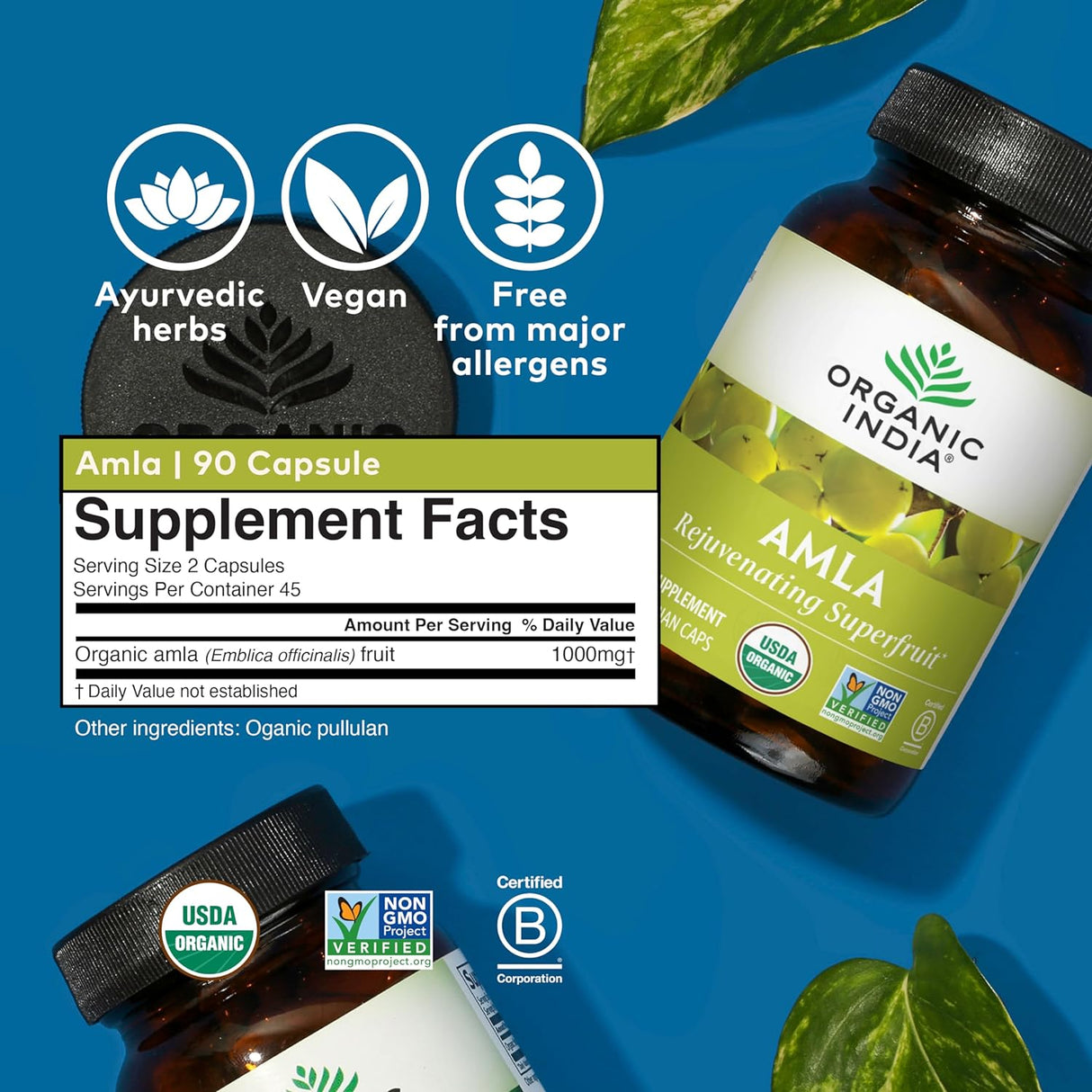 Suplemento de Amalaki Orgánico con Vitamina C, 90 cápsulas