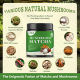 Polvo de Matcha con Hongos Superfood, 8 Oz, Sabor Delicioso