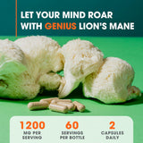 Cápsulas Suplemento Melena de León Orgánico, 1200mg