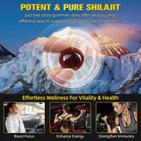 Gomitas de Shilajit Himalaya, Natural, Energía y Inmunidad, 60