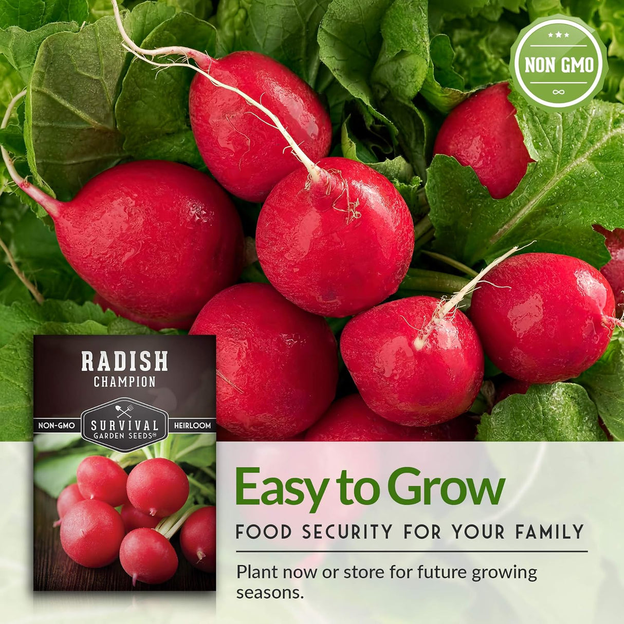 Semillas de Rábano Champion - Survival Garden Seeds - No-GMO