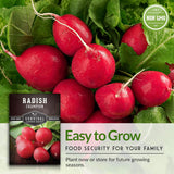 Semillas de Rábano Champion - Survival Garden Seeds - No-GMO