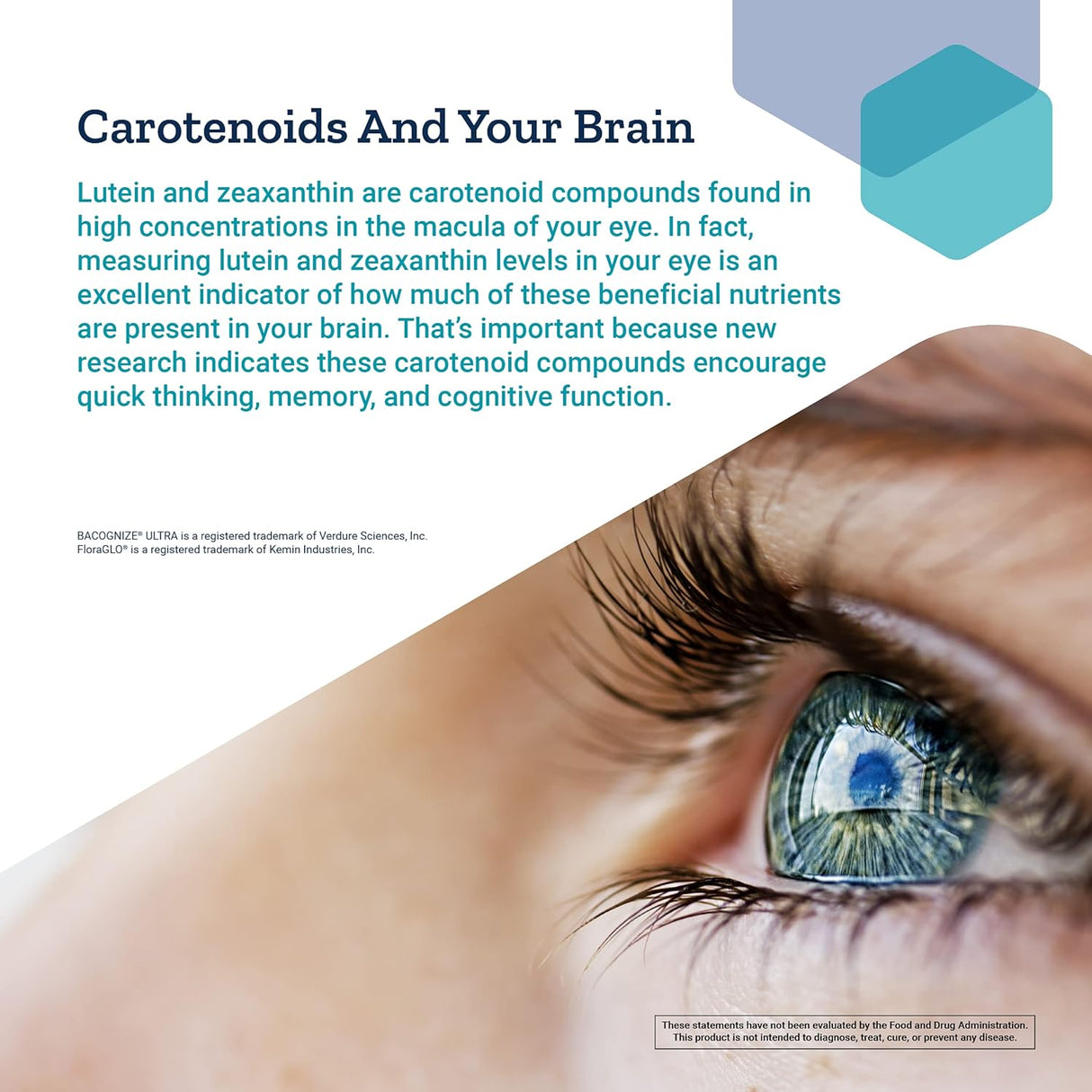 Suplemento Brain Nootropic mejoradas para atención 30 und