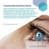 Suplemento Brain Nootropic mejoradas para atención 30 und
