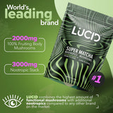 Superfood de Hongos Lucid Matcha - Enfoque y Salud Cerebral