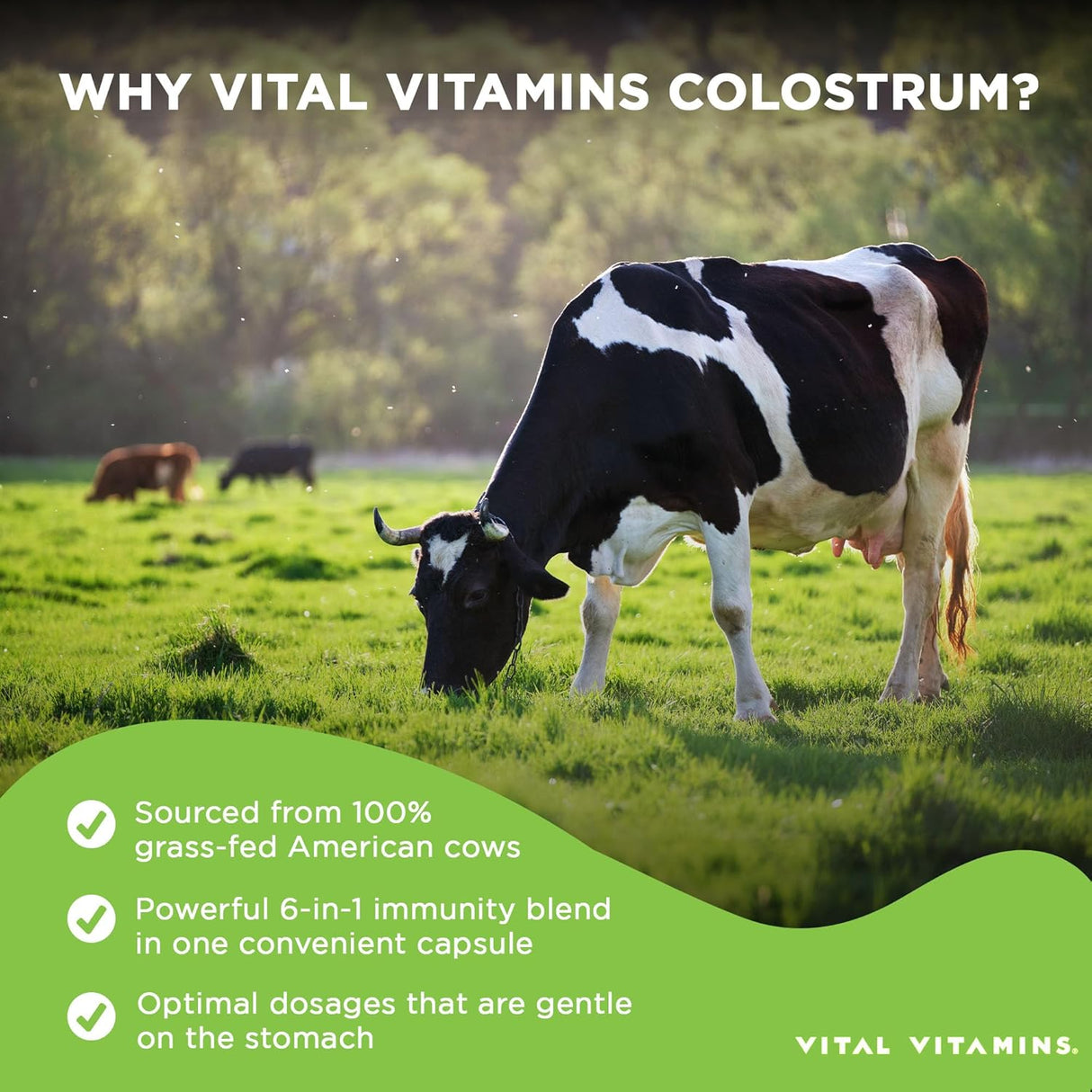Suplemento de Colostro - Inmunidad y Salud Digestiva