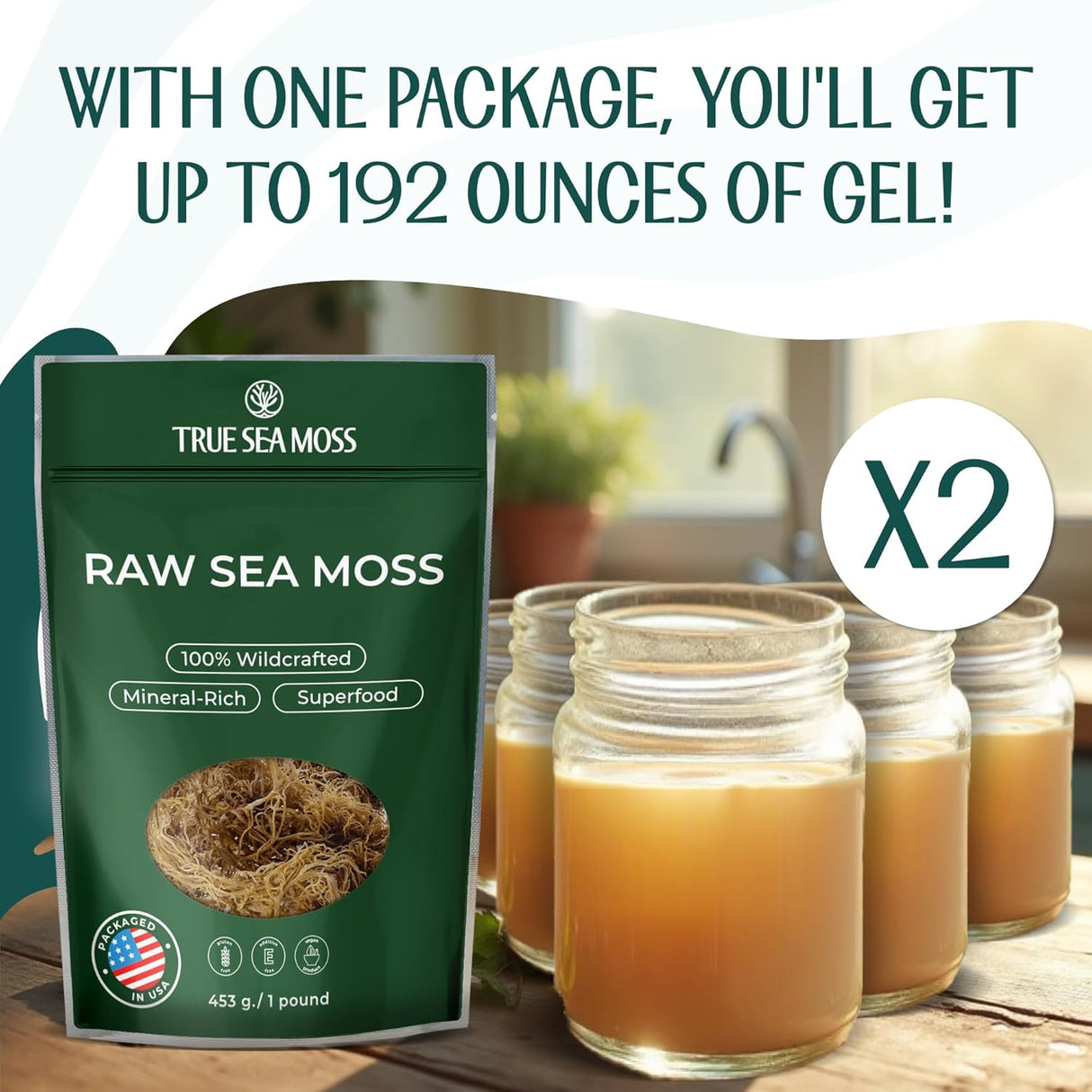 Sea Moss Raw - Wildcrafted Irish para digestión y salud intestinal 16oz