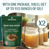 Sea Moss Raw - Wildcrafted Irish para digestión y salud intestinal 16oz