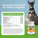 Suplemento renal natural ONLY NATURAL, 90 cápsulas saludables