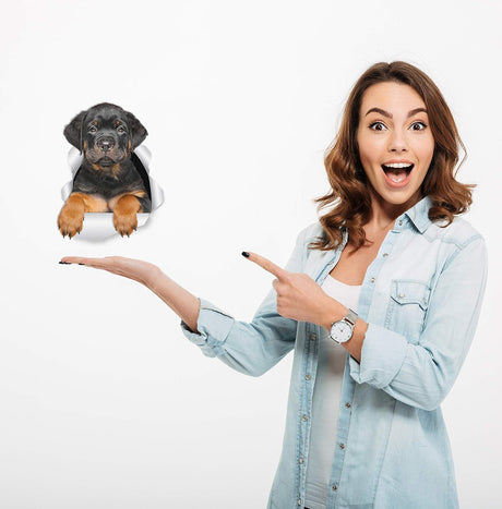 Stickers 3D Rottweiler - Winston & Bear - 2 Pack - Decorativos