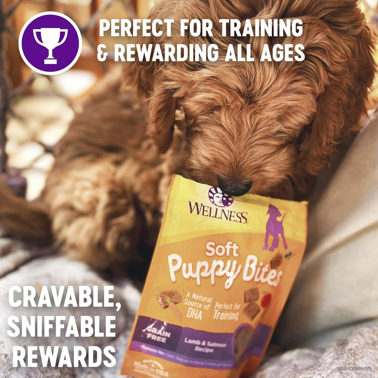 Galletas de Adiestramiento Wellness Puppy, Natural, Sin Granos