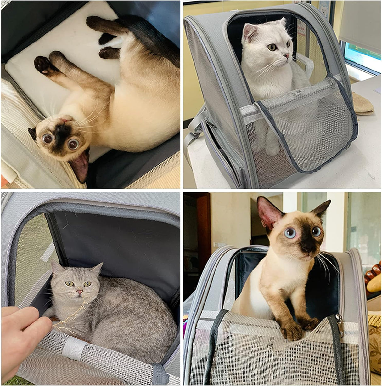 Mochila para transporte de gatos color gris