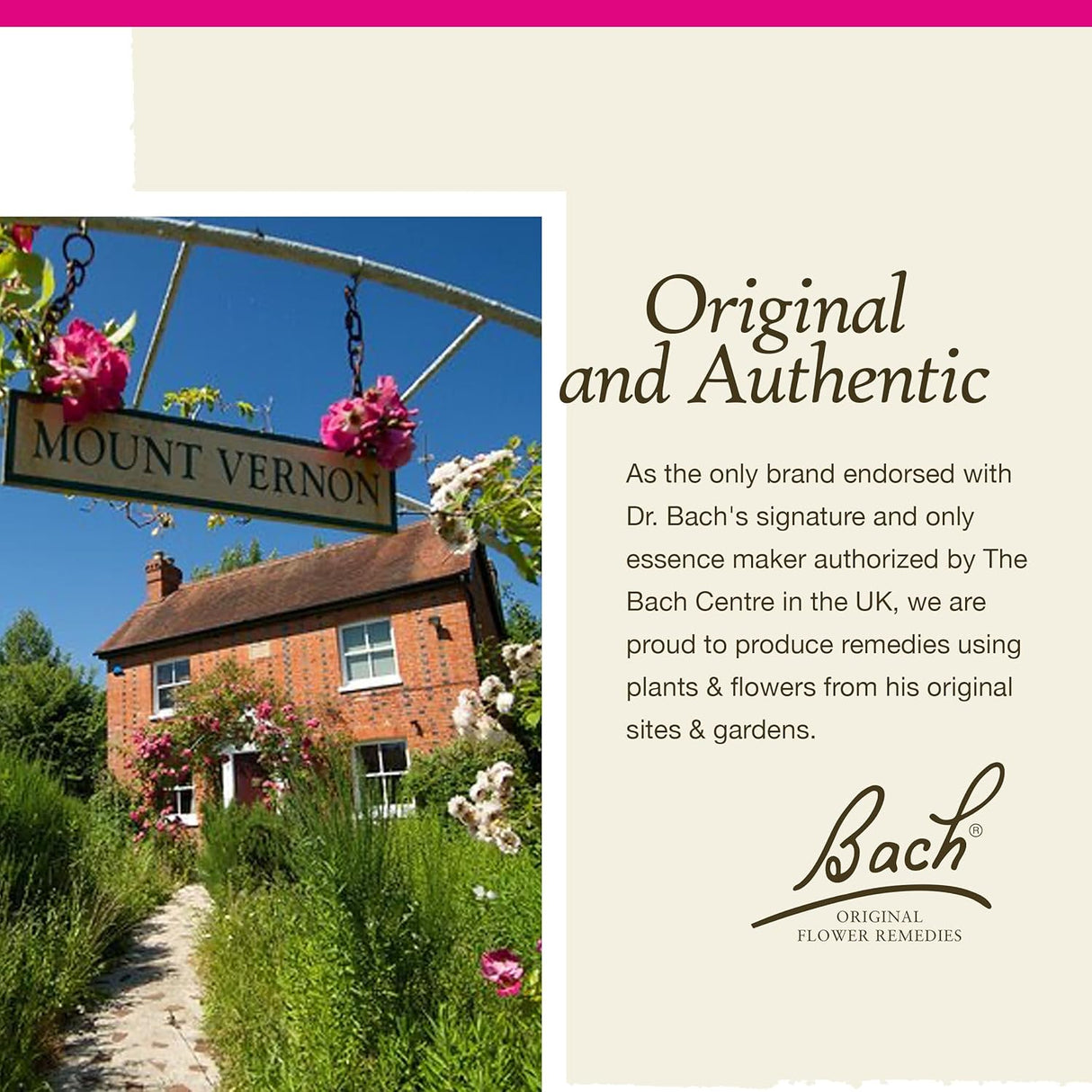 Bach Remedio floral original  Gotero 3001364 Roble 1