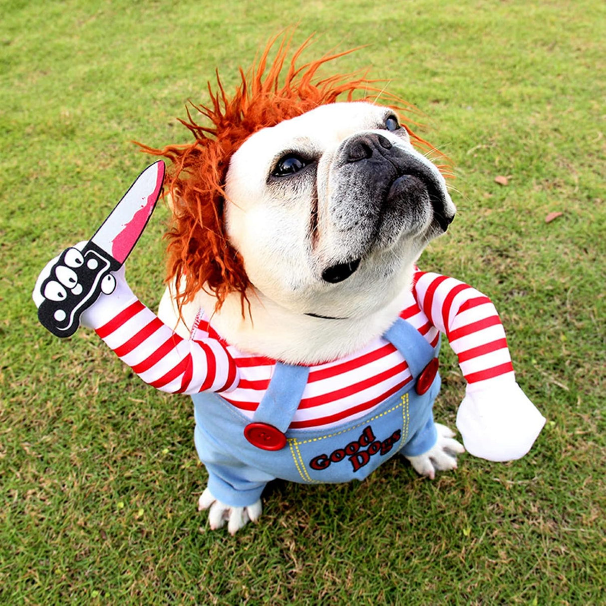 Disfraz de mascota mortal para perro, lindo perro, cosplay, Halloween, Navidad, divertido disfraz de perro, disfraz de fiesta para perros pequeños, medianos y grandes