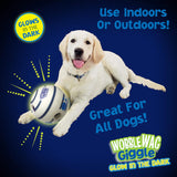 Pelota Interactiva para Perros - Wobble Wag Giggle Ball