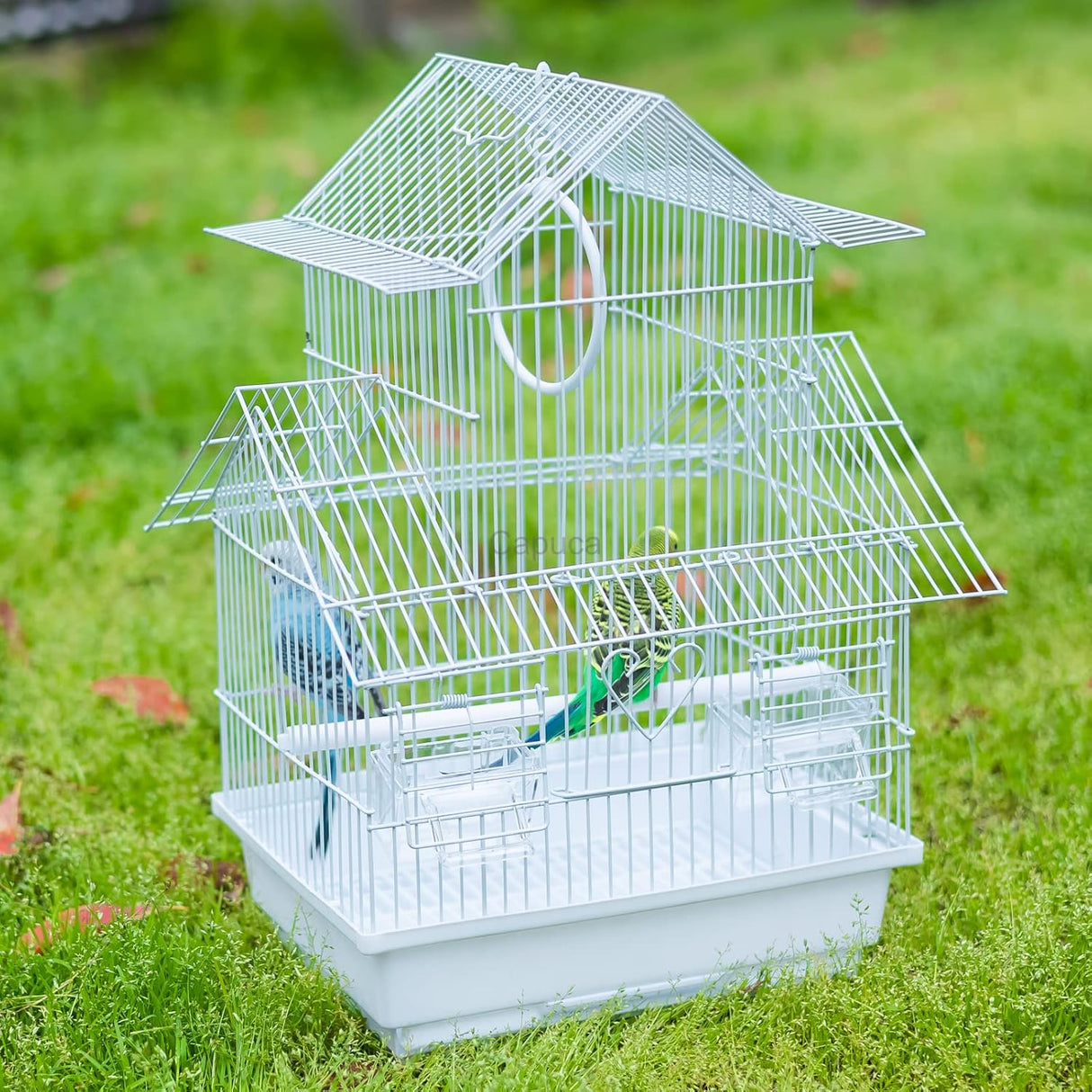 Jaula de viaje para pájaros pequeños, kit de iniciación ligero para pájaros pequeños con jaulas y accesorios, ideal para periquitos, tortolitos, pinzones, canarios