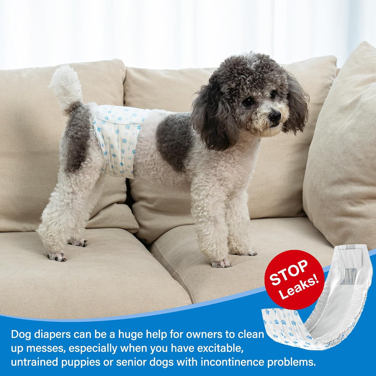 Pañales Pet Soft para perro, desechables, para perros macho, xs