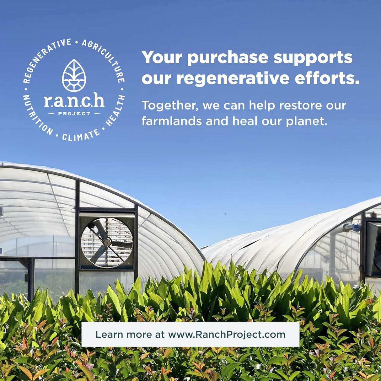 Cápsulas SuperVeggies Orgánicas Regenerativas con Probióticos