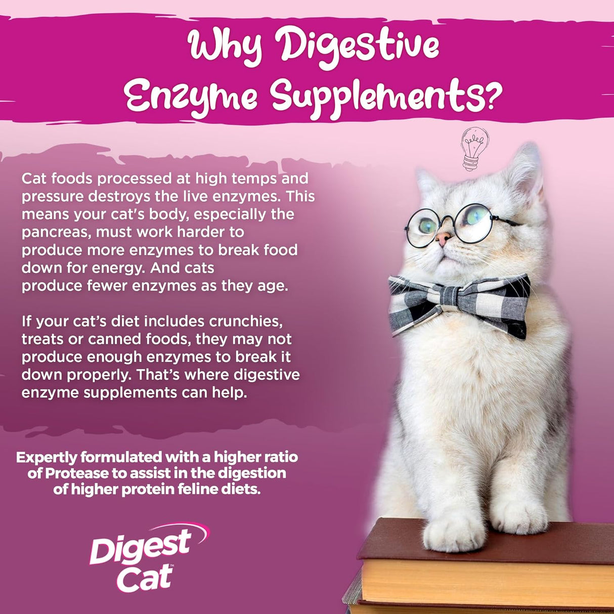 Enzimas Digestivas para Gatos Vital Planet con Calabaza y Jengibre
