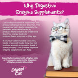 Enzimas Digestivas para Gatos Vital Planet con Calabaza y Jengibre