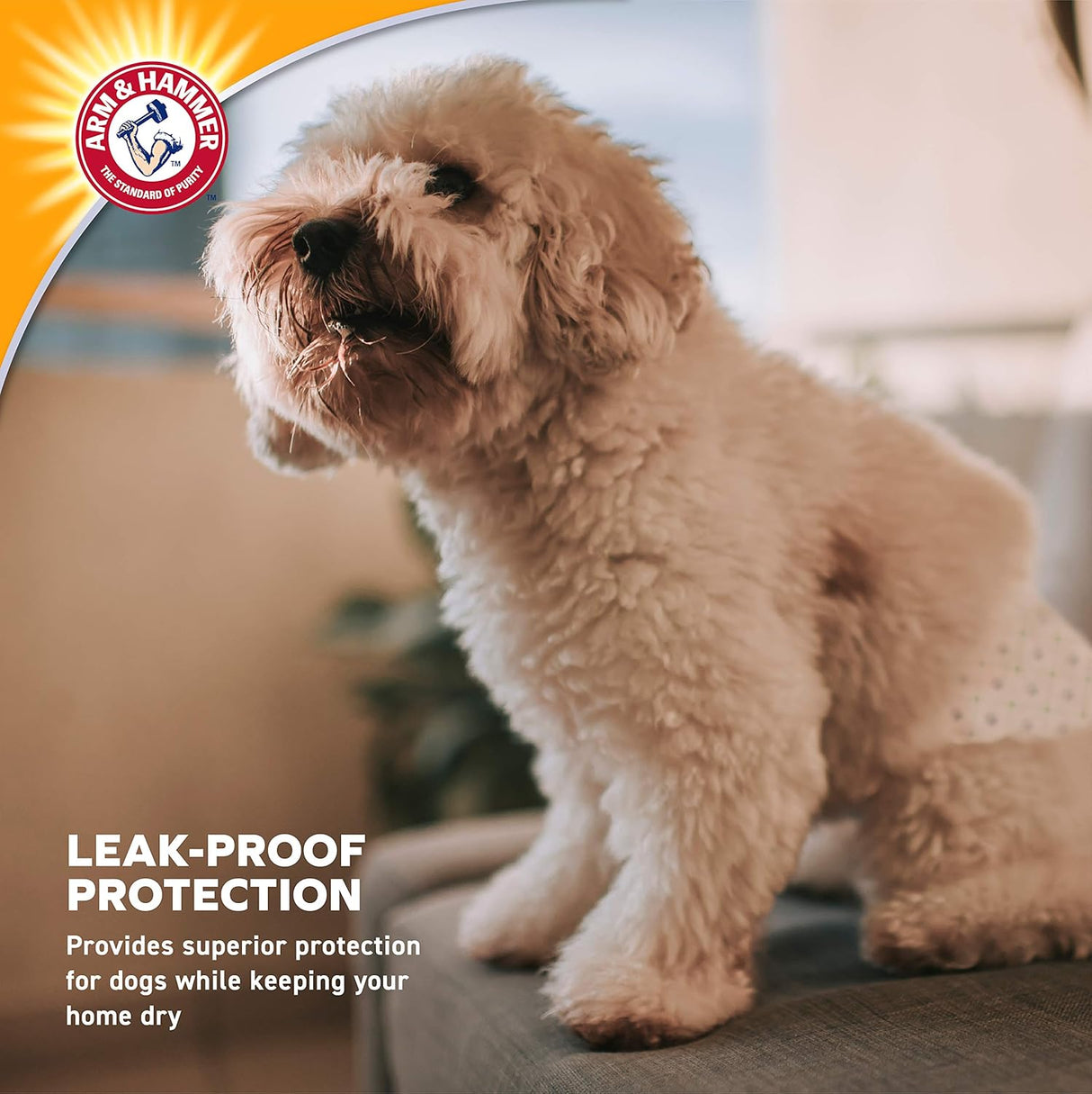 Arm &amp; Hammer Pañales para perros machos para control de olores