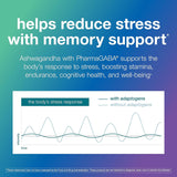 Suplemento Youtheory Ashwagandha+GABA  reducir el estrés