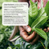 Suplemento Nutrition Quemador de grasa de té verde 30 geles