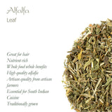 Suplemento Hierba de alfalfa orgánica Medicago Sativa