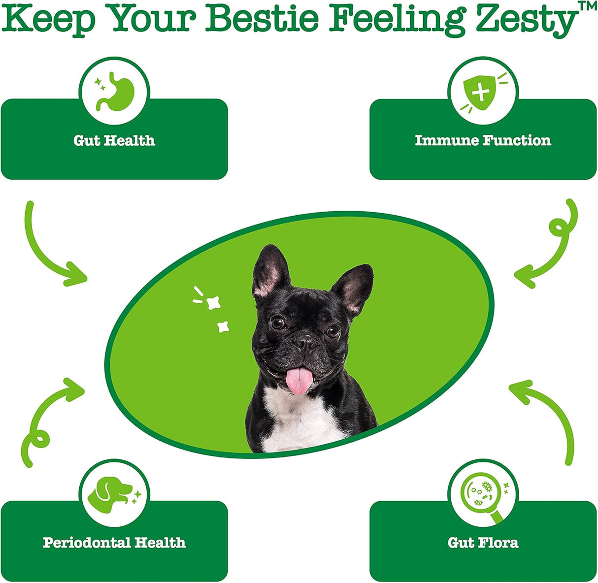 Vitaminas para Perros con semilla de cáñamo Curcumina raíz