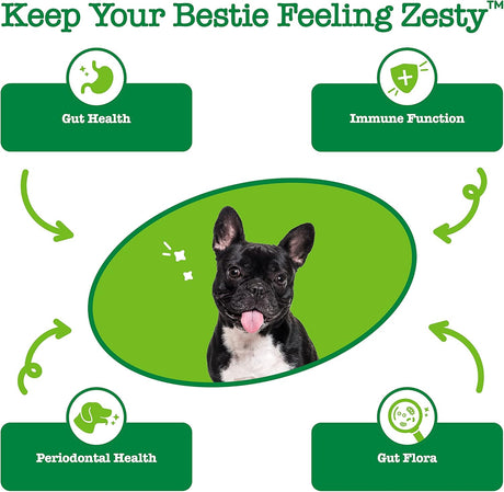 Vitaminas para Perros con semilla de cáñamo Curcumina raíz