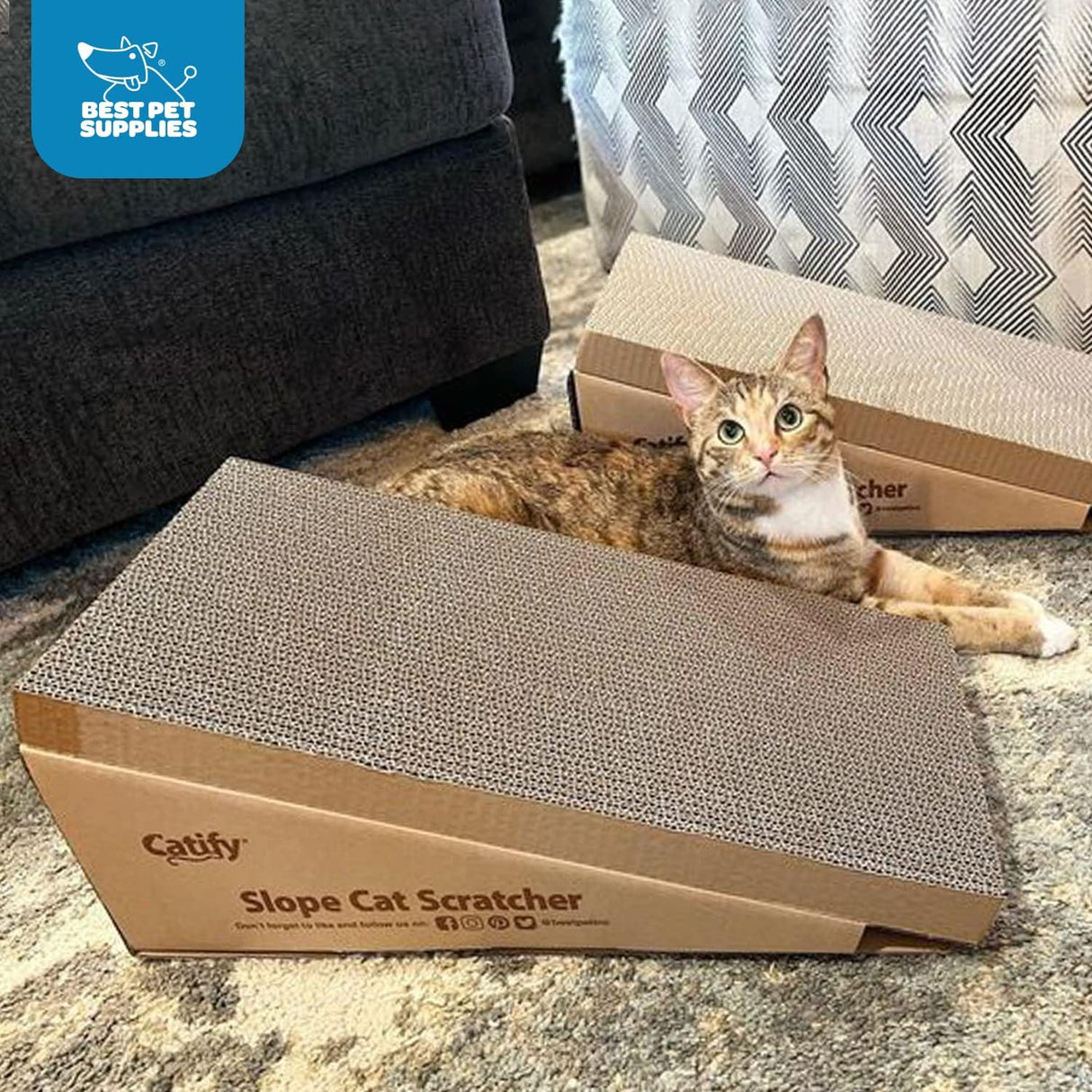 Almohadillas de repuesto corrugado para gatos marrón
