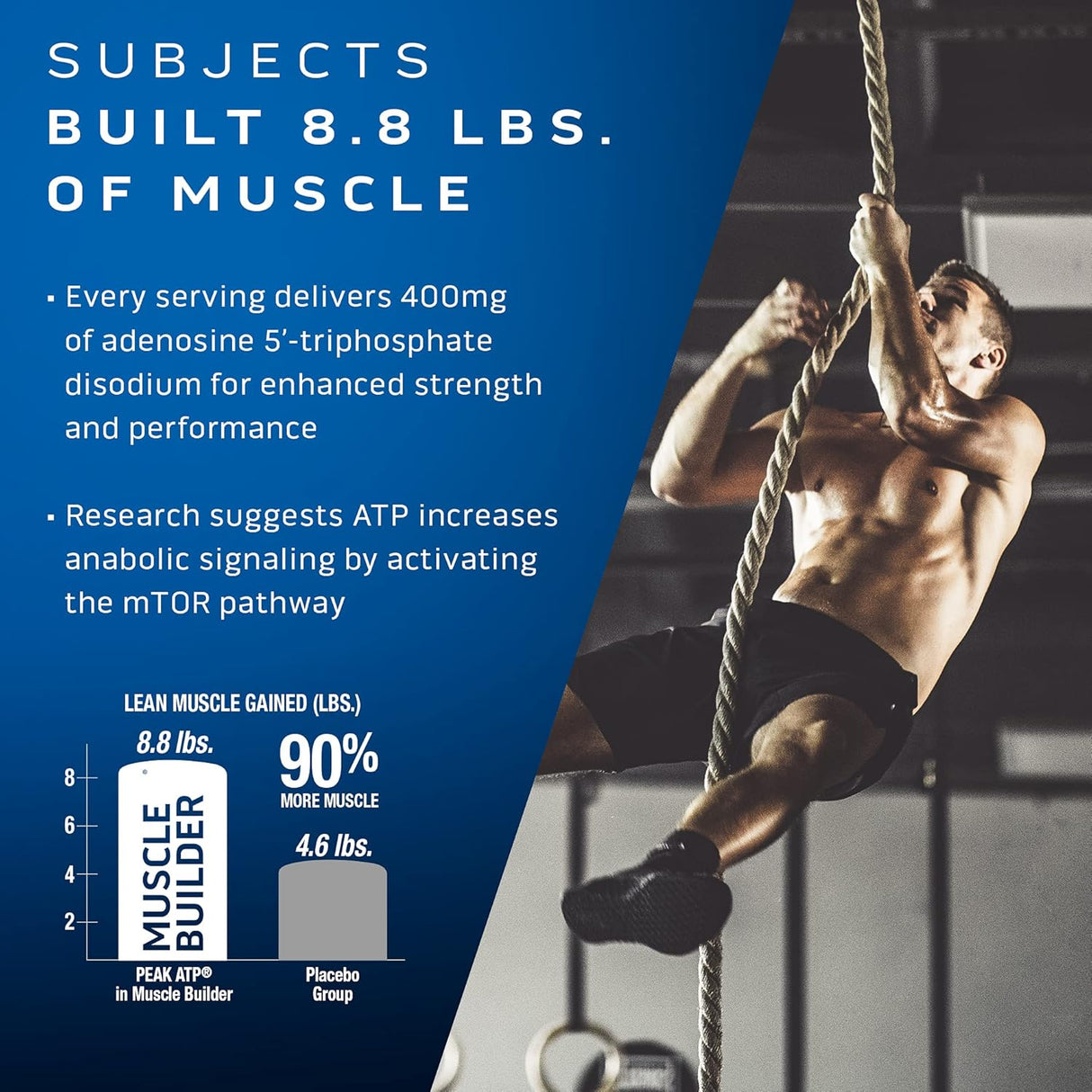 Suplementos Alimenticios  de masa muscular