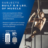 Suplementos Alimenticios  de masa muscular