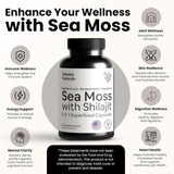 Atlántic Naturals Cápsulas de Sea Moss con Shilajit 5 en 1 60 c