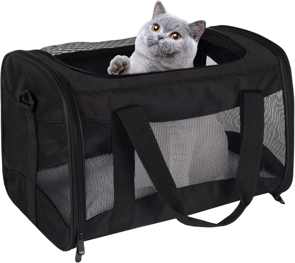 Transportadora para Gatos, Aprobada por Aerolíneas, Mediana