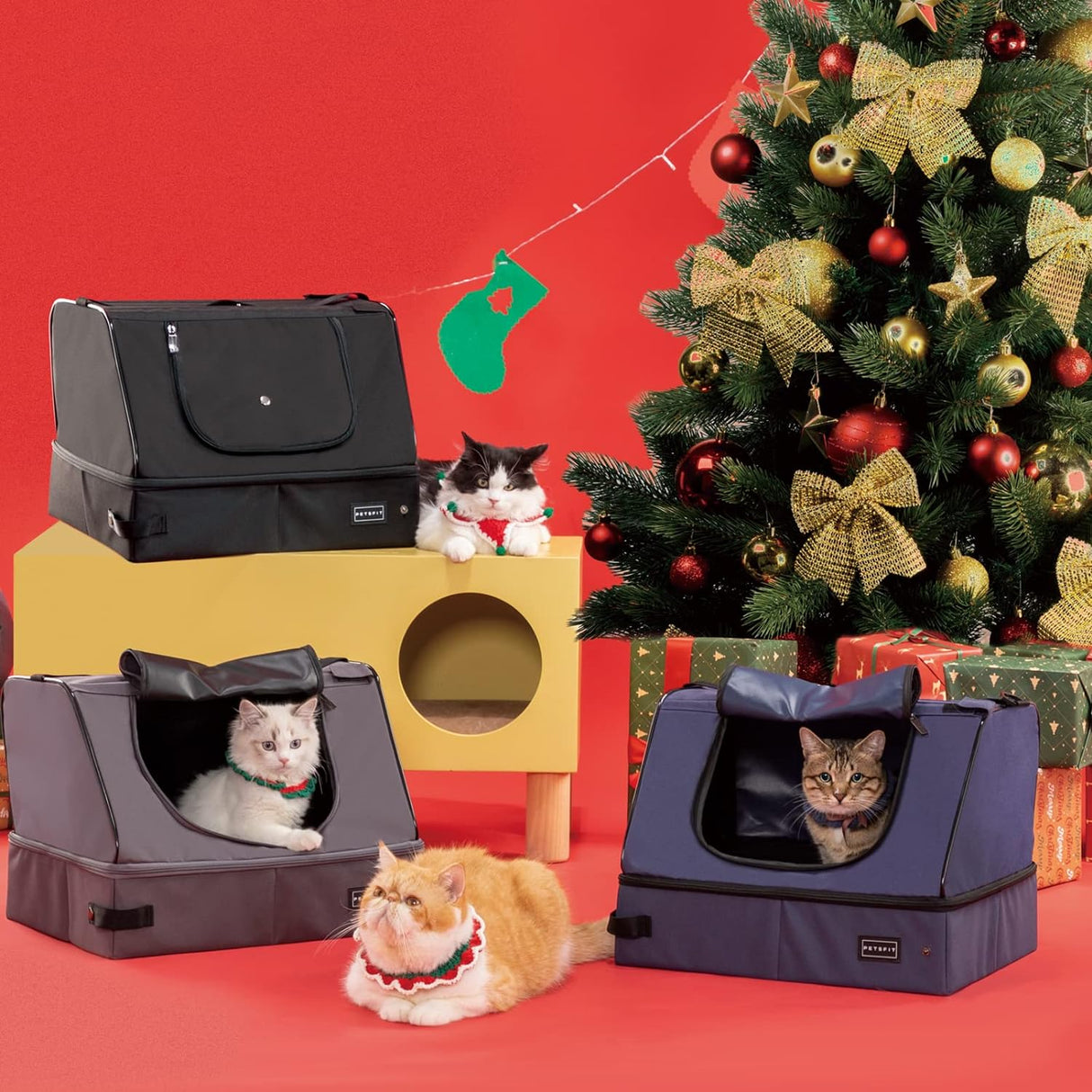Caja de arena portátil de viaje mejorada para gatos Petsfit